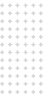 pattern-v-1-123x300.png